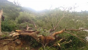 13645134_1752028605065625_4591831176151816035_n